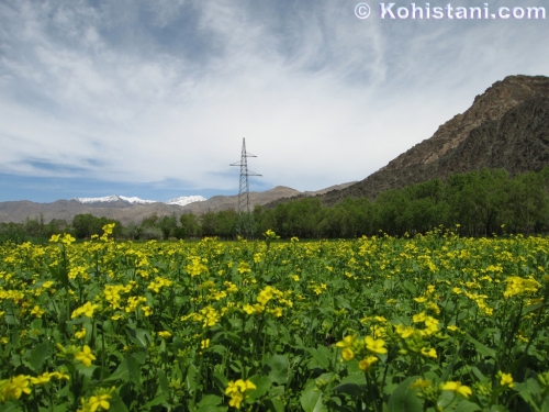 Kohistan District of Kapisa