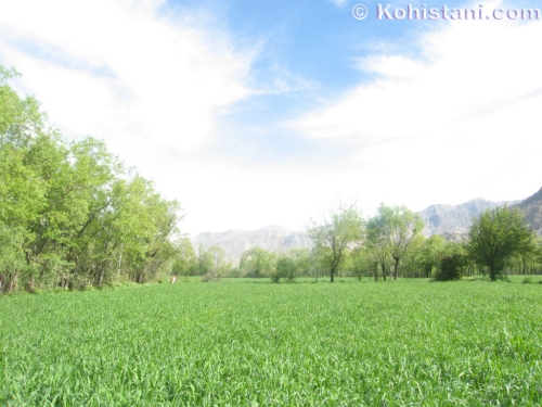 Kohistan District of Kapisa