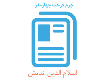 جرم درخت چهار مغز جرم درخت چهار مغز